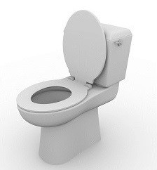 Chandler Toilet Repair – What Every Homeowner Should Know